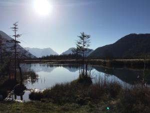 Ferienwohnung Theresia