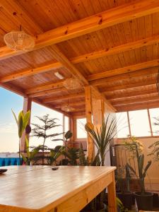 Tafokt surf house