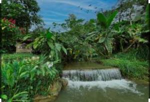 Cabaña la roca de minca sierra nevada