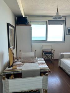 Comodo mono en Ciudad Vieja