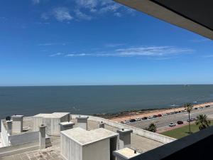 Comodo mono en Ciudad Vieja