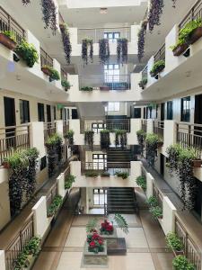 BristleRidge Escape Near John Hay