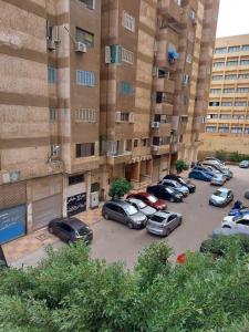 Smouha Green Plaza View