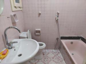 Smouha Green Plaza View