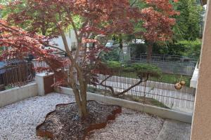 appartamento 1 piano in Villa Martini