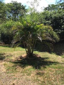 Tranquilo Lodge & Camping