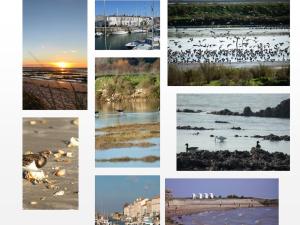 ILE DE RE, LA DANAE, VELOS, WIFI, POSSIBILITE CUISINE, LINGE, PARKING gratuit