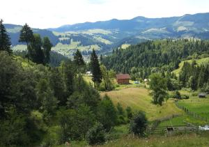 Вище за хмари