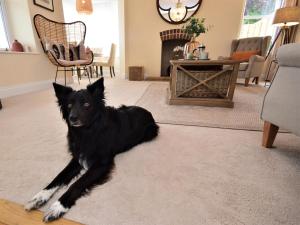 2 Bed in Westward Ho 77590