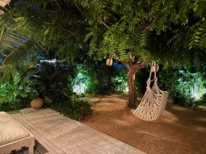 TATAJUBA-Casa-de-loulous