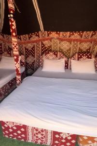 Stars light private camp