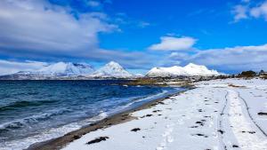 Arctic Wonderland