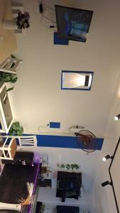 العين السخنه