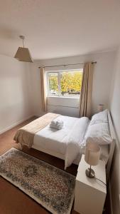 Cardinal Court , Wilton 3BR Beside CUH Hospital