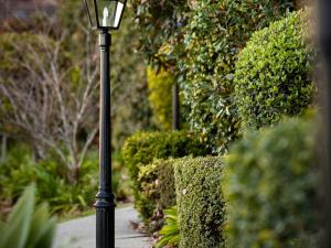 Peppers The Hills Lodge