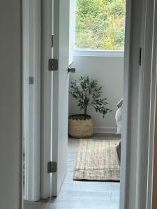 Departamento en condominio Villarrica vista a volcán y lago