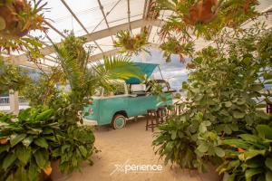 Jungle at 24, City Views and Wonderland Vibes!