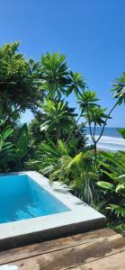 Surf Lodge El Carrizal-Punta Mango