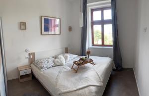 One-bedroom newly renovated apartment with Netflix