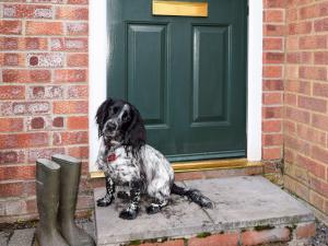 2 Bed in Mattishall 57133