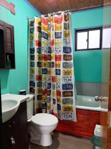 Cabaña Curacautín, IX Región