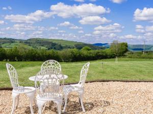 4 Bed in Llanidloes 51651