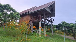 Doicherngngam Home stay