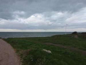 6 person holiday home in Gilleleje-By Traum