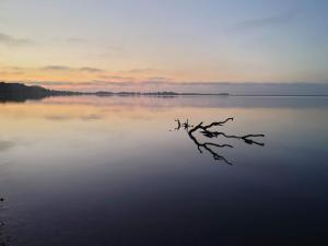 8 person holiday home in Lemvig-By Traum