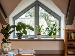 4 Bed in Bideford OAPPL