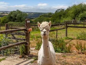 3 Bed in South Molton 78305