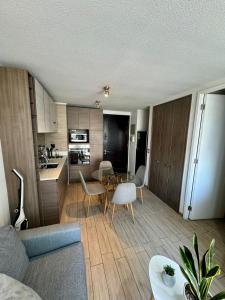 Lindo y cómodo apartamento en Santiago centro