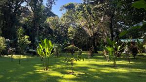 Playa Ganadito Ecolodge