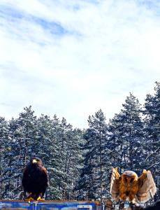 President Kop Apartman 106