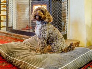 4 Bed in Dunster 90504