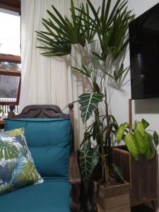 Campeche beach house