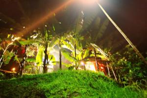 Homestay Khoáng nóng Thông Nguyên