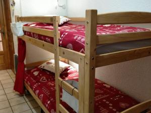 Appartement cosy 2 pièces avec Wifi à Samoëns - FR-1-846-10