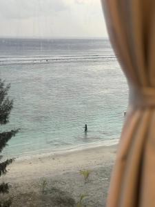 Nala Host- 2BR Beachfront Apartment