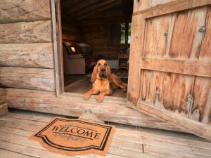 1 Bed in Latchley 54164