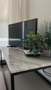 Enjoy the beach, the park in Reñaca