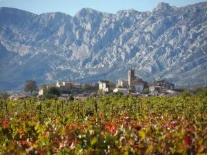 Place du Château - Pourcieux