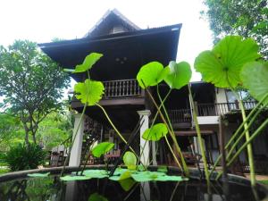 Baan Suan Amphawa