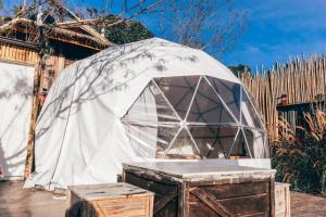 Eden garden resort at Monjam