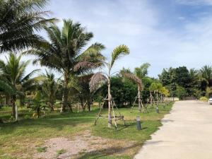 CoCo Tree Resort
