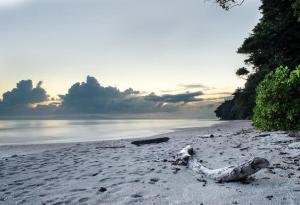 Wild Orchid Resort - Havelock Island