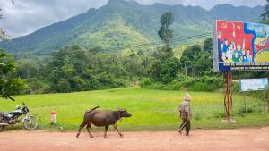 La Mai Chau Home