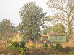 Bastar Jungle Resort