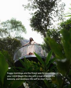 Willmount Geodesic Domes Vagamon