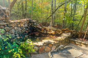 Crabapple-Secluded cabin with pond creek access, hot tube, fire pit in Blue Ridge